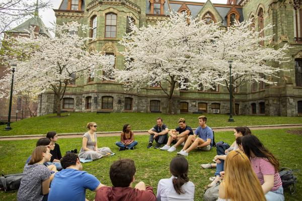 Students studying under cherry blossoms